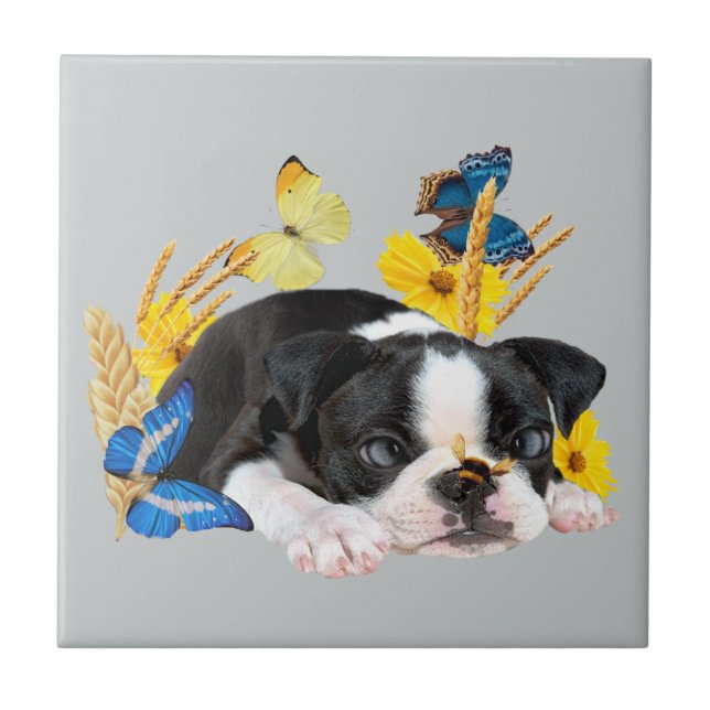 Boston Terrier Play Day Fliese (Vorderseite)