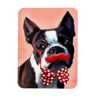 Boston Terrier Portrait mit Red Bow Krawatte und 3 Magnet