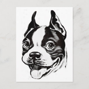 Boston Terrier Postcard Postkarte