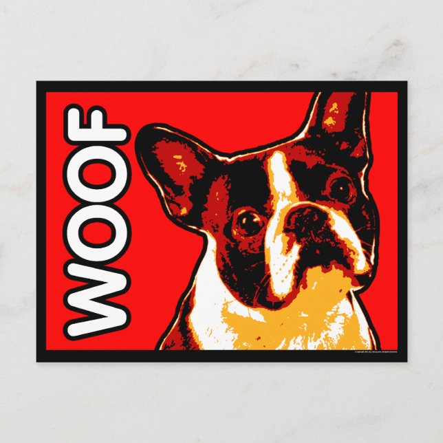 Boston Terrier Postcard Postkarte (Vorderseite)