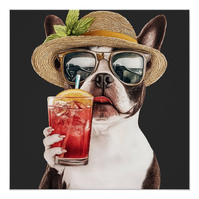 Boston-Terrier Poster (Vorderseite)