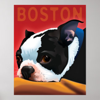 Boston Terrier Poster