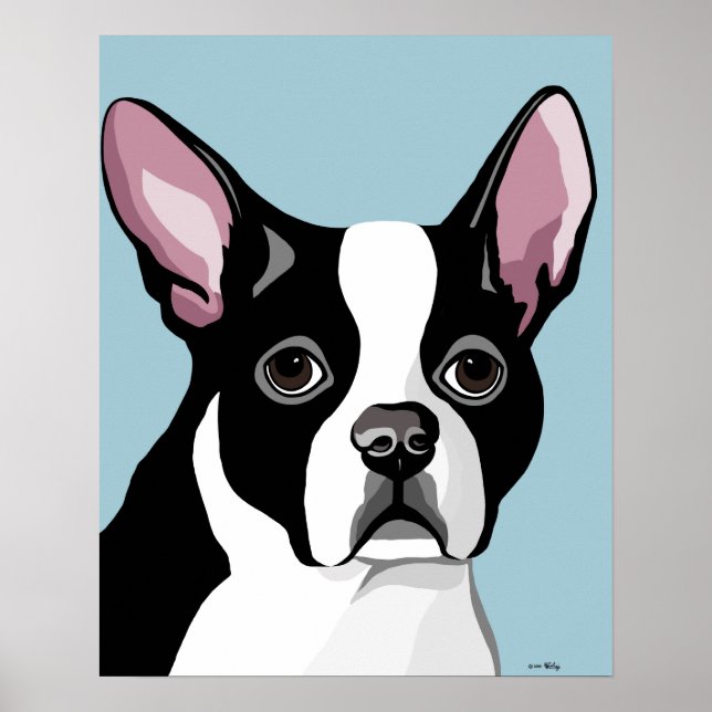 Boston Terrier Posters Poster (Vorne)