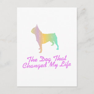 Boston Terrier Postkarte