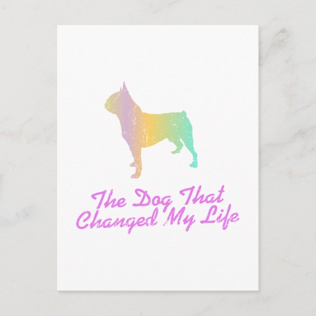 Boston Terrier Postkarte (Vorderseite)