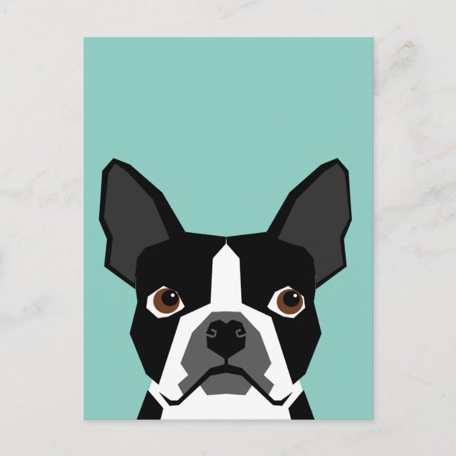Boston Terrier Postkarte (Vorderseite)