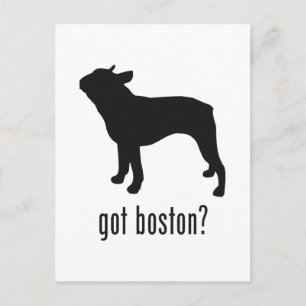 Boston Terrier Postkarte