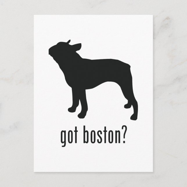 Boston Terrier Postkarte (Vorderseite)
