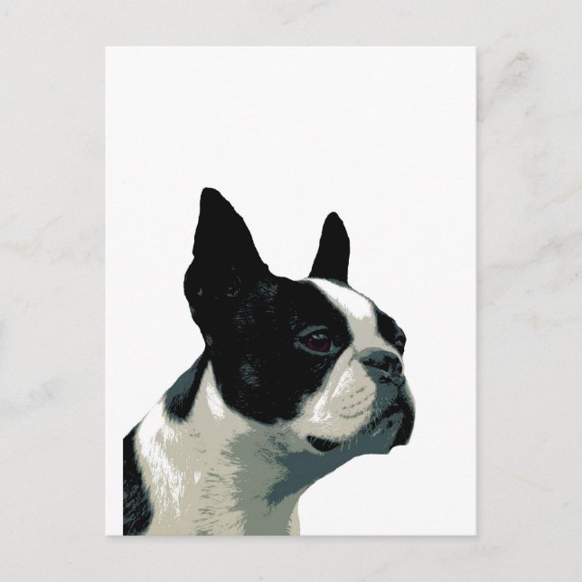 Boston Terrier Postkarte (Vorderseite)