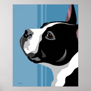 Boston Terrier Prints Poster