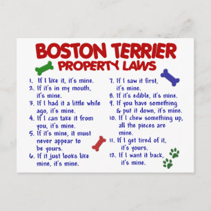 Boston Terrier Property Laws 2 Postkarte
