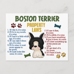 Boston Terrier Property Laws 4 Postkarte