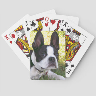 Boston Terrier Pup Deck Karten Spielkarten