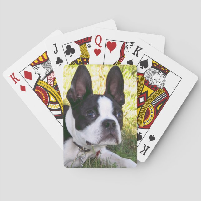 Boston Terrier Pup Deck Karten Spielkarten (Rückseite)