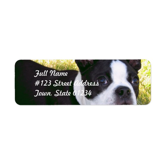 Boston Terrier Pup Mailing Labels (Vorne)