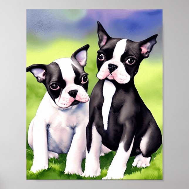 Boston Terrier Puppies Wasserfarben Kunst, Dichtun Poster (Vorne)