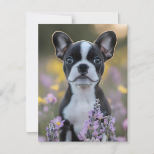Boston Terrier Puppy Lupine Blume Postkarte