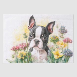 Boston Terrier Puppy Watercolor Seidenpapier