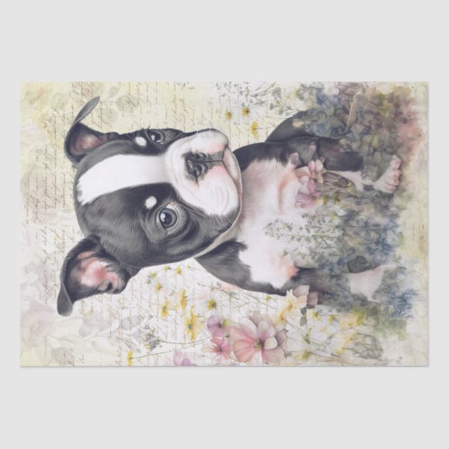 Boston Terrier Puppy Watercolor Seidenpapier (Vorderseite)