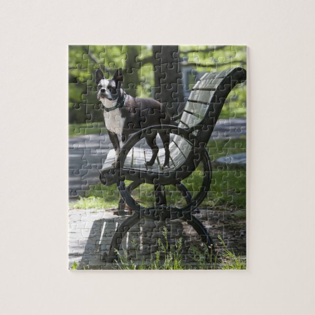 Boston Terrier Puzzle (Vertikal)