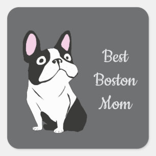 Boston Terrier Quadratischer Aufkleber