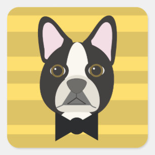 Boston Terrier Quadratischer Aufkleber