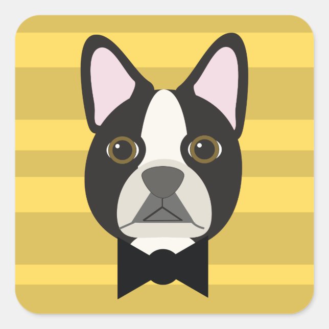 Boston Terrier Quadratischer Aufkleber (Vorderseite)