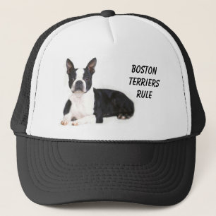 Boston-Terrier-Regel-Hut Truckerkappe