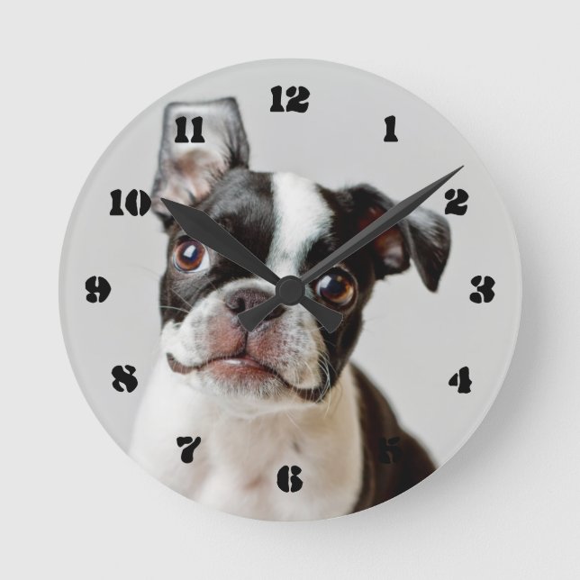 Boston Terrier Runde Wanduhr (Vorderseite)