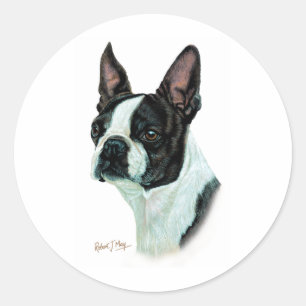 Boston Terrier Runder Aufkleber