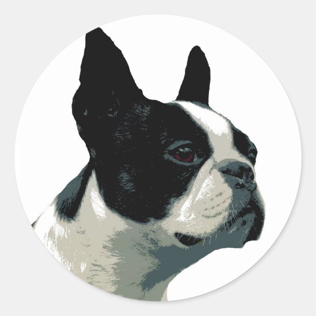 Boston Terrier Runder Aufkleber (Vorderseite)