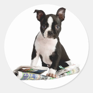 BOSTON TERRIER RUNDER AUFKLEBER