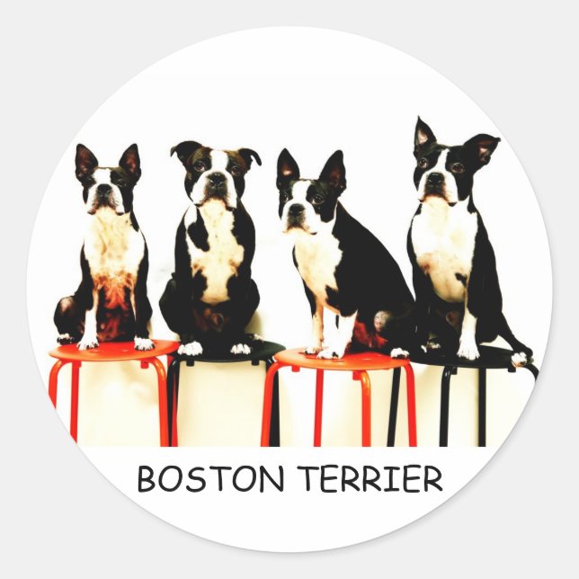 BOSTON TERRIER RUNDER AUFKLEBER (Vorderseite)