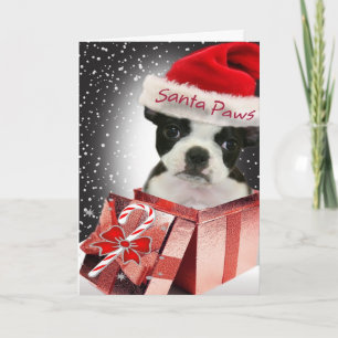 Boston-Terrier-Sankt-Tatzen-Liebe, die Sie Feiertagskarte
