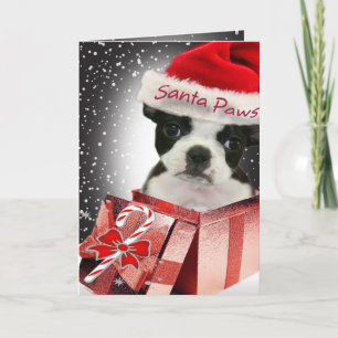 Boston Terrier Santa Paws Cards Feiertagskarte