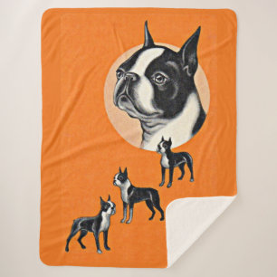 Boston Terrier Sherpadecke
