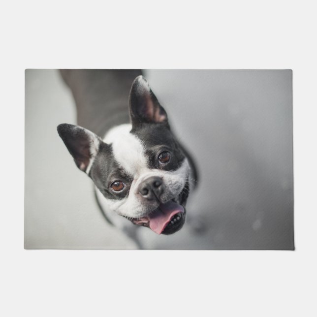 Boston Terrier sieht nach oben Fußmatte (Vorderseite)