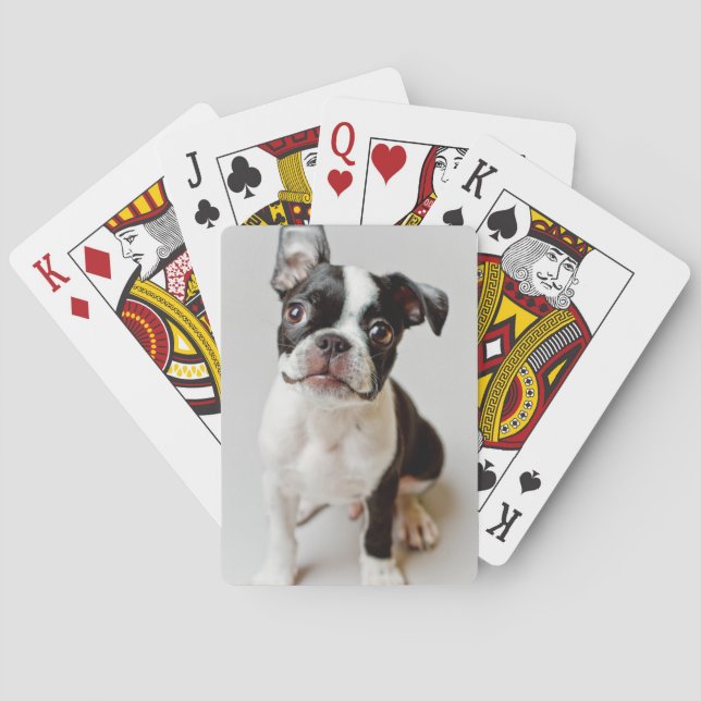 Boston Terrier Spielkarten (Rückseite)