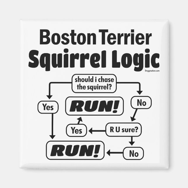 Boston Terrier Squirrel Logic Magnet (Vorne)