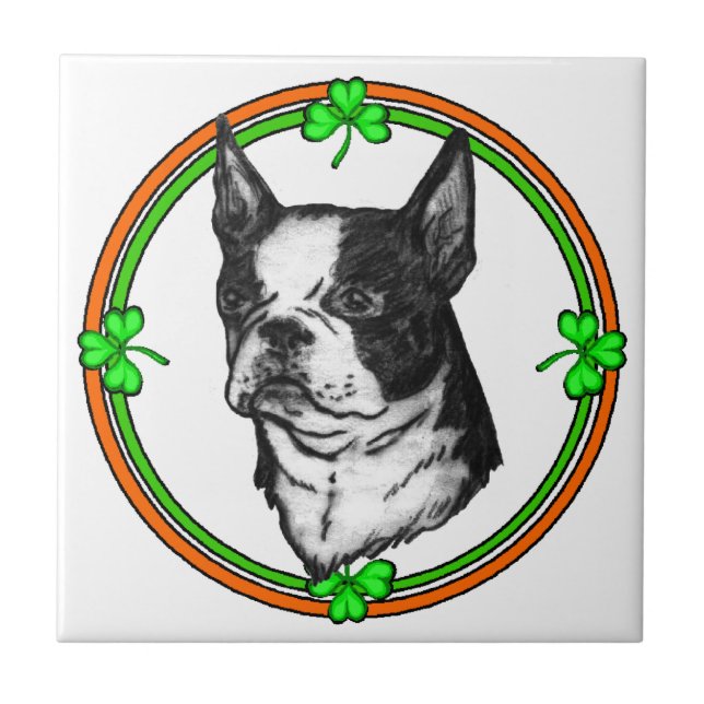 Boston Terrier St Patrick's Day Fliese (Vorderseite)