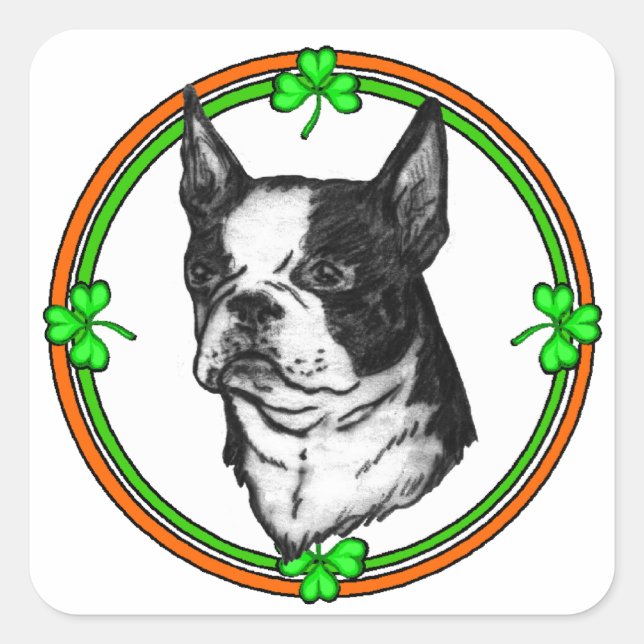 Boston Terrier St Patrick's Day Quadratischer Aufkleber (Vorderseite)