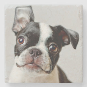 Boston Terrier Steinuntersetzer
