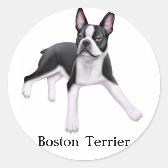 Boston Terrier Sticker (Vorderseite)