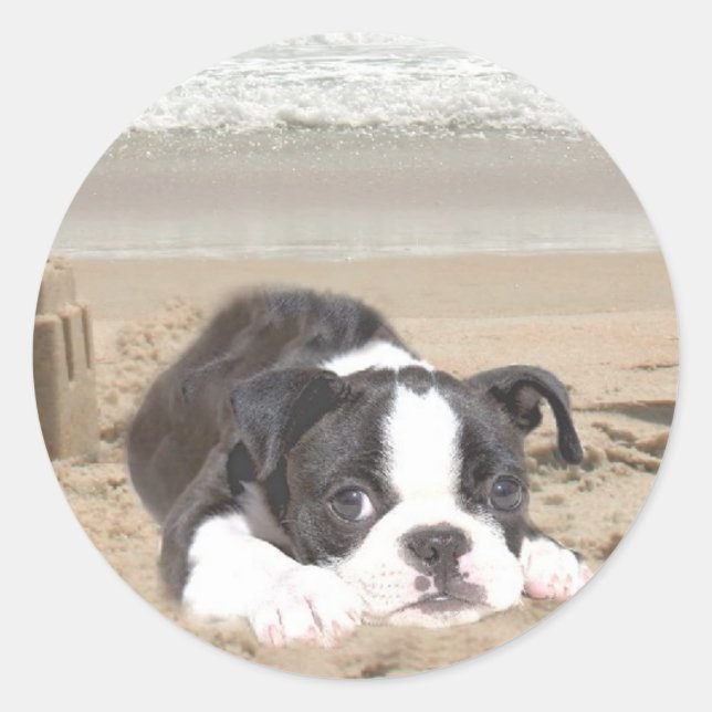 Boston Terrier Sticker Sandcasts (Vorderseite)