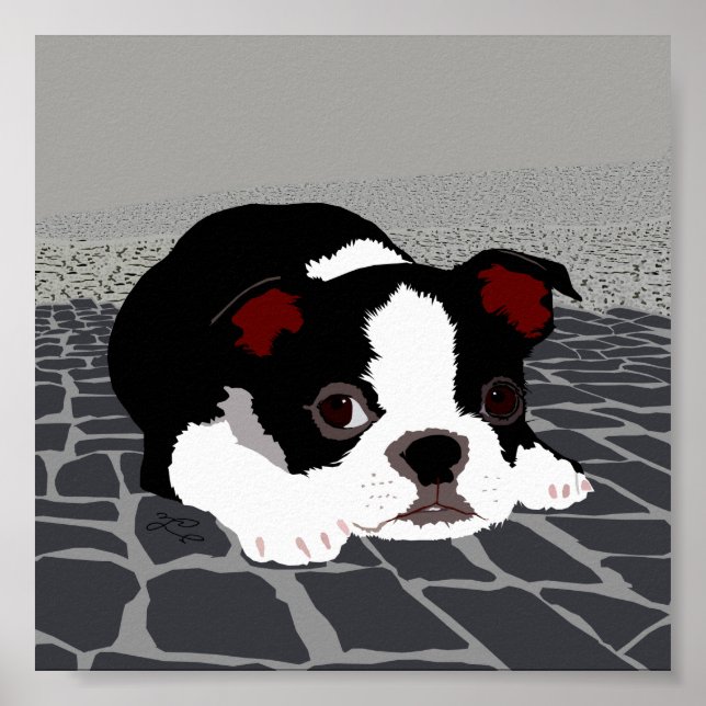 Boston Terrier Stone Paving Wall Art Poster (Vorne)