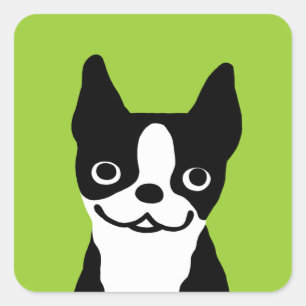 Boston Terrier - Süßer Hund Quadratischer Aufkleber