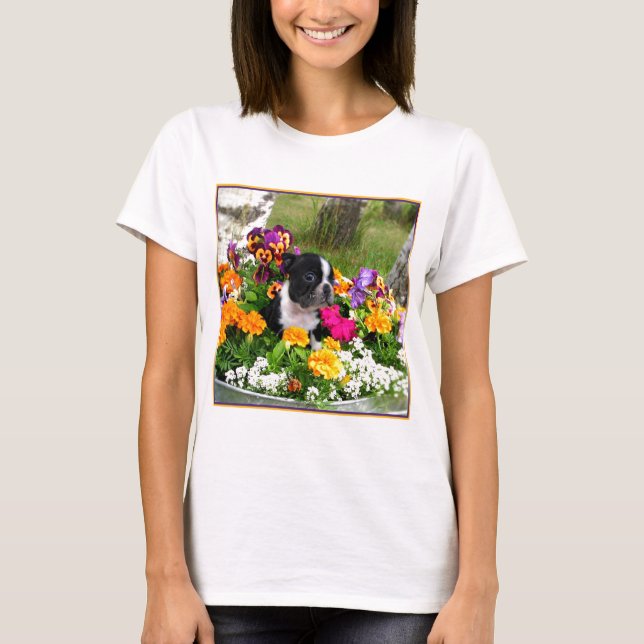 Boston Terrier T-Shirt (Vorderseite)