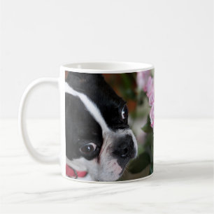 Boston-Terrier Tasse
