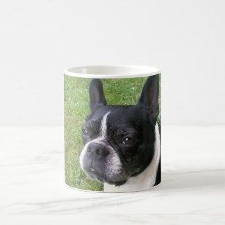 Boston-Terrier-Tasse Kaffeetasse