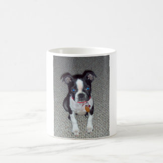 Boston-Terrier-Tasse Tasse